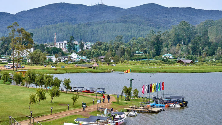 Day Tours from Nuwara Eliya