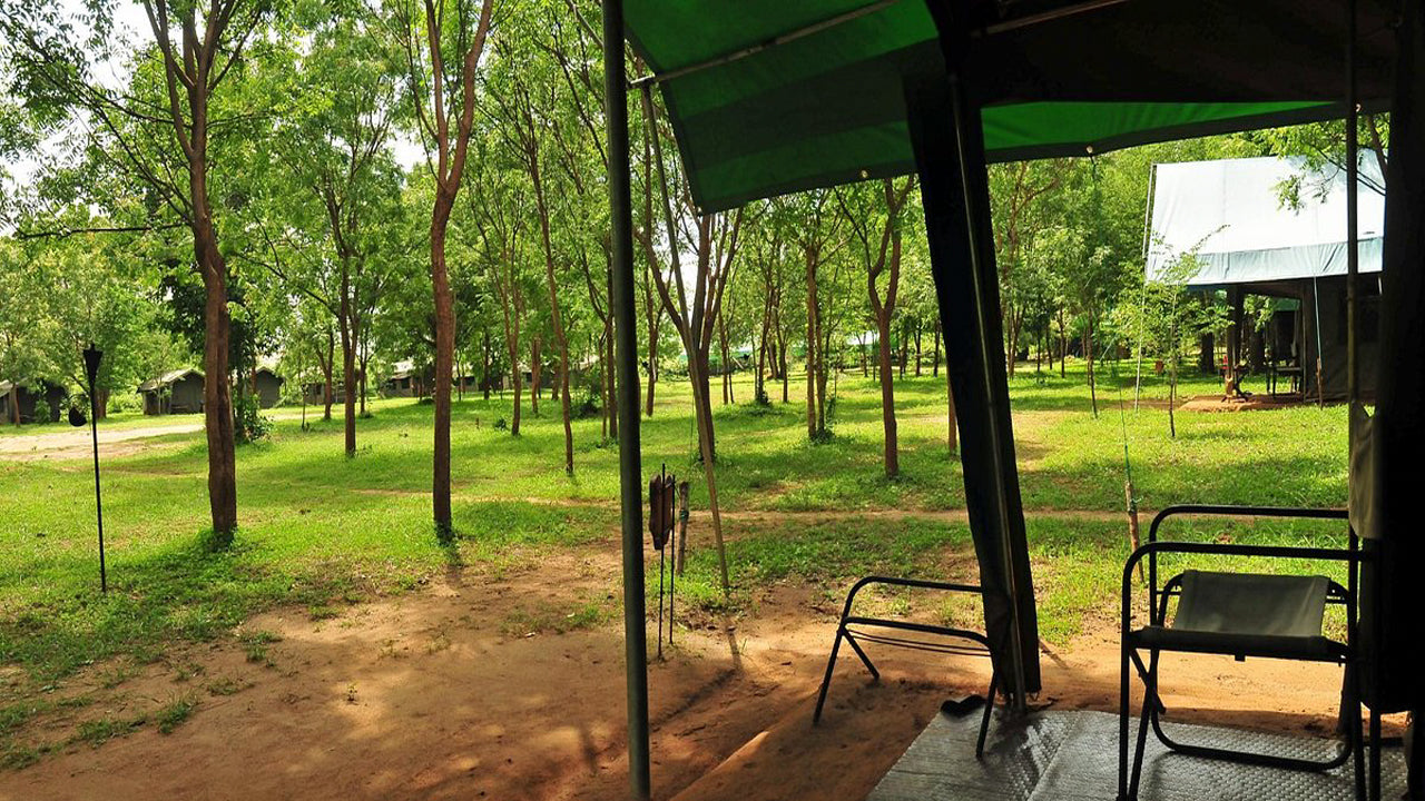 Big Game Camps & Lodges Udawalawe