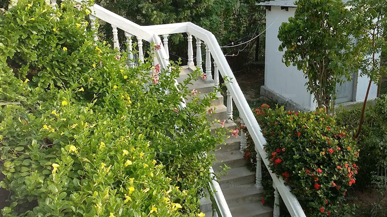 Nilaveli Palm House, Nilaveli