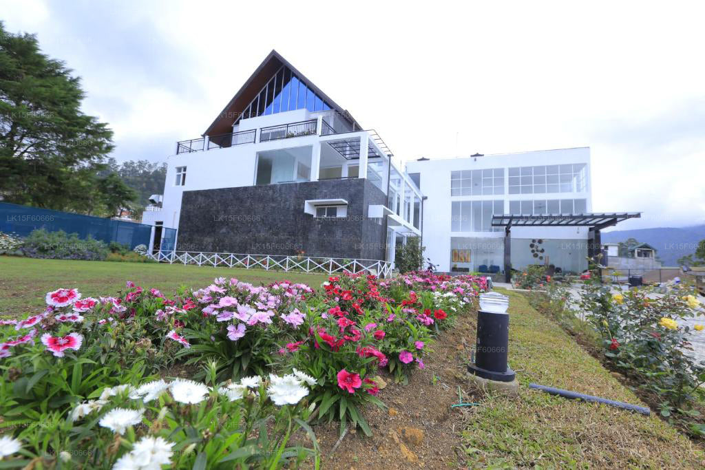 Ripon Grand Hill, Nuwara Eliya