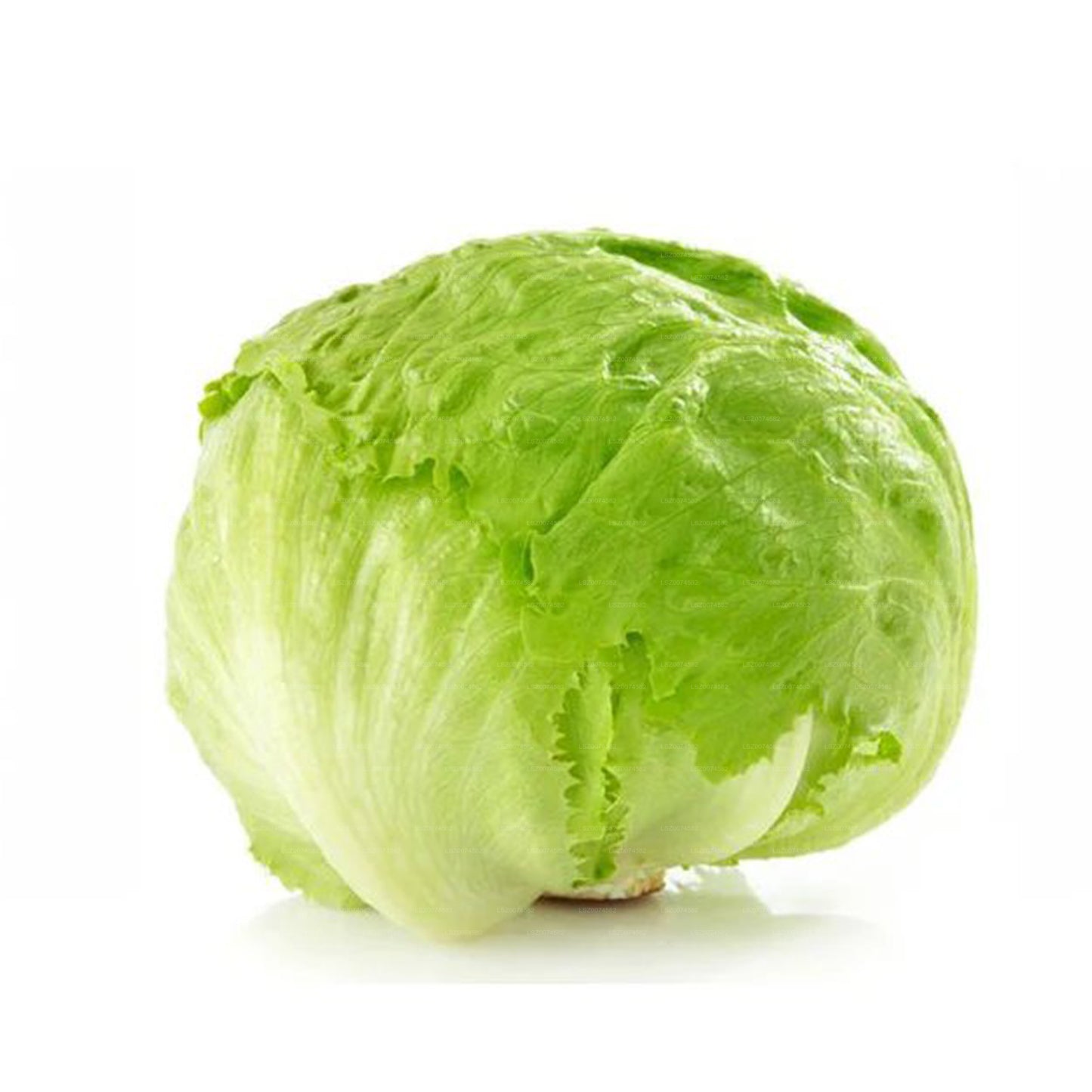 Ice Berg Lettuce (250g)