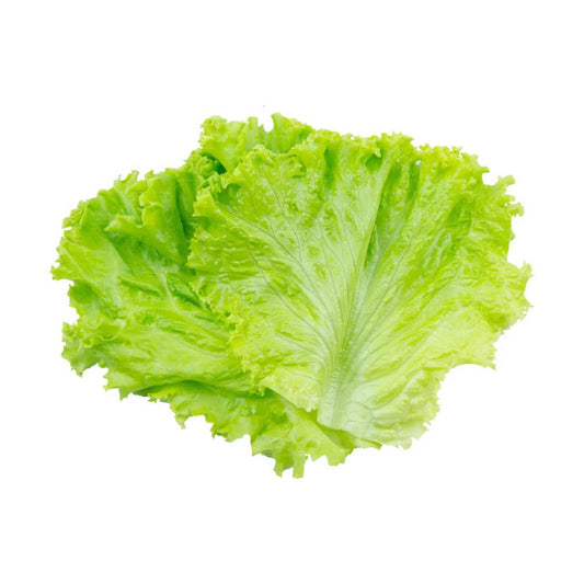 lettuce (100g)