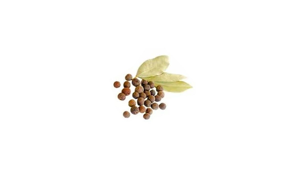 Allspice Plant (තුනපහ ශාකය) Spice Plants