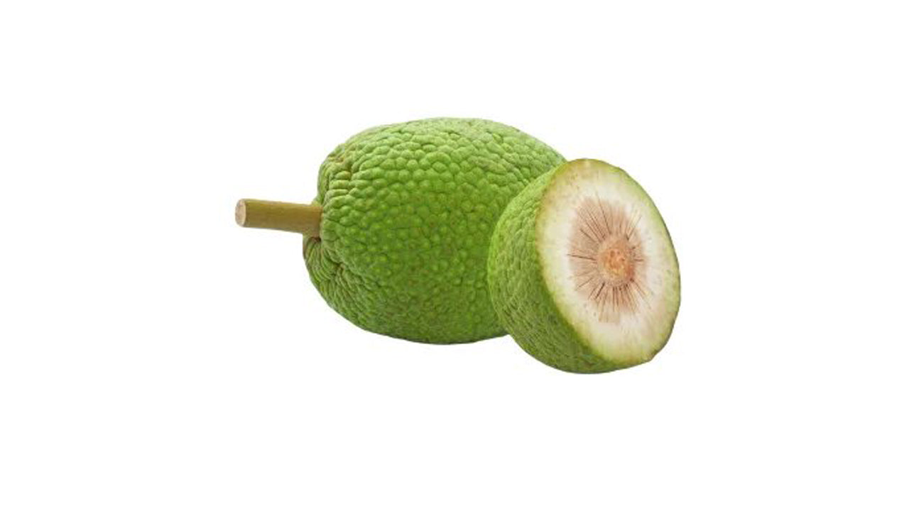 Bread fruit (දෙල්) Vegetable Plant