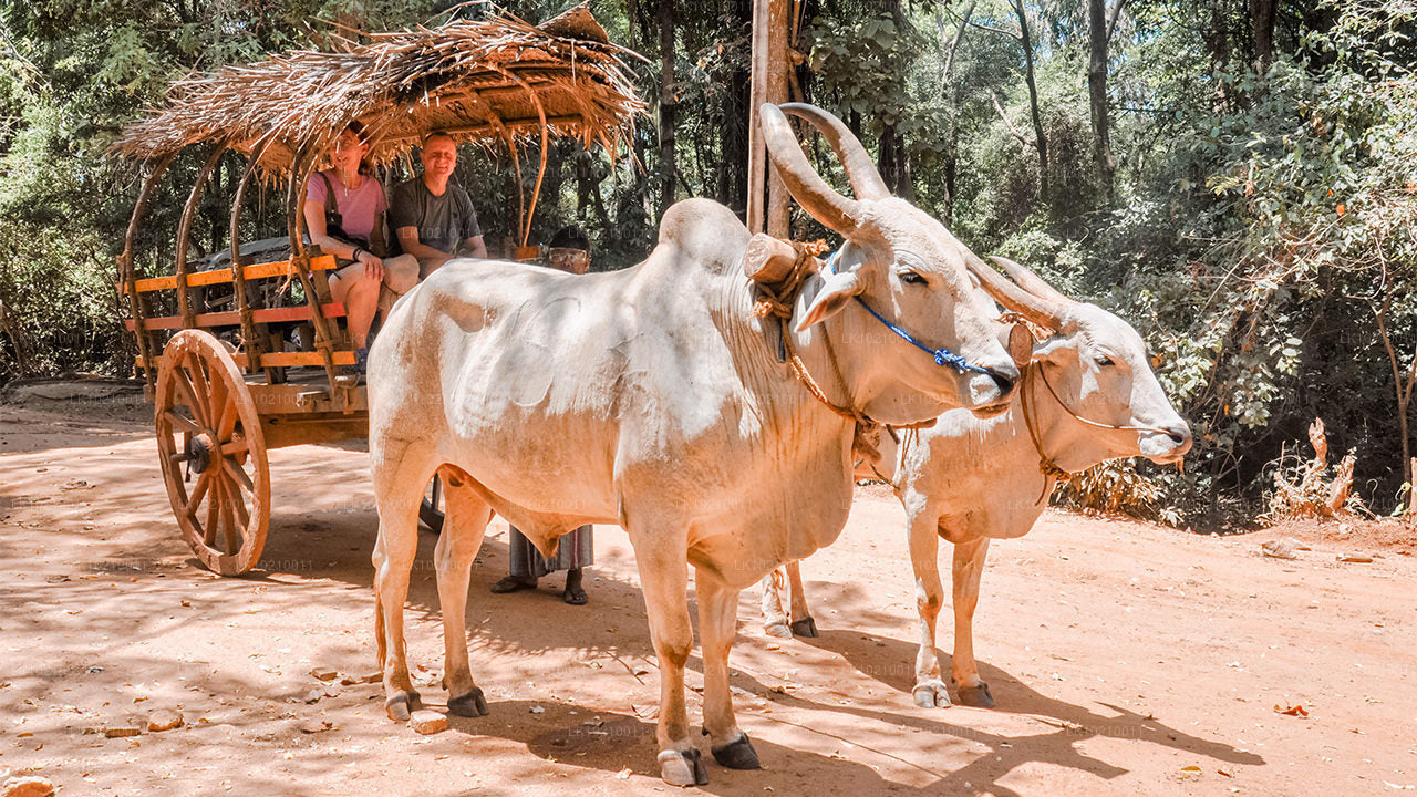 Wildlife and World Heritage Tour from Galle (2 Days)