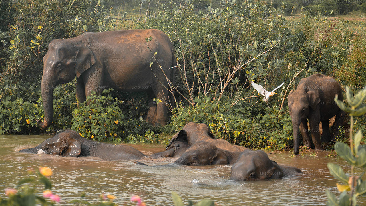 Sri Lanka Aborigine Tour (4 Days)