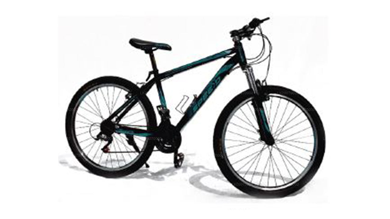 Mountain Bike Rental