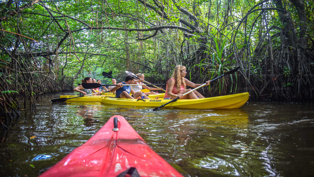 Kayaking from Ahungalla