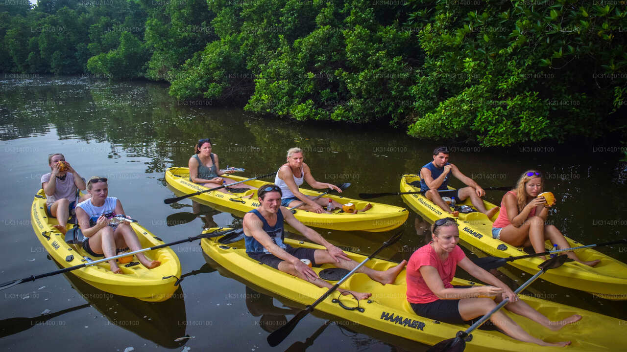 Kayaking from Ahungalla