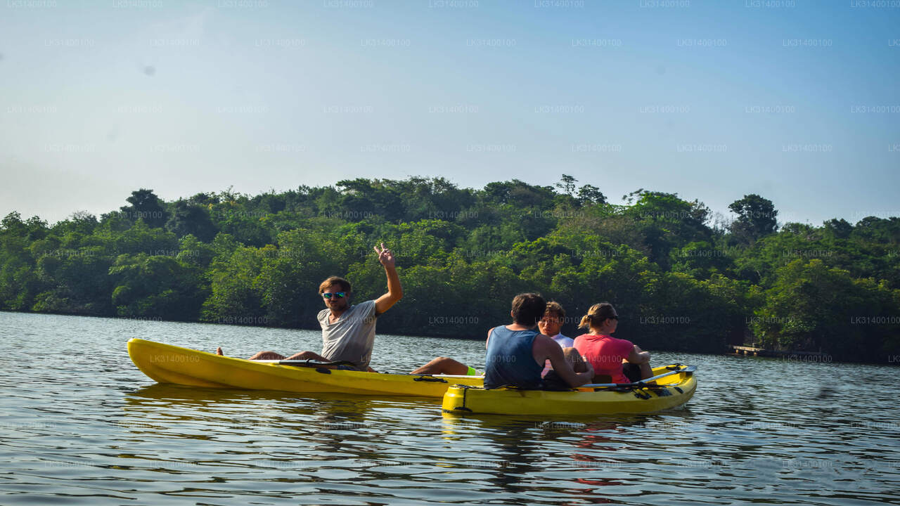 Kayaking from Ahungalla