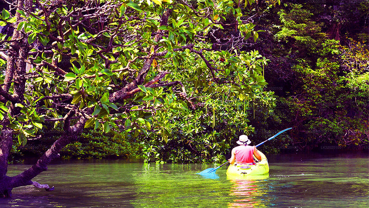 Canoeing in Mahaweli River from Kandy
