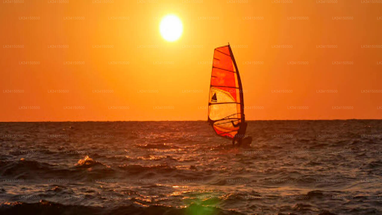 4 hour Advance Windsurfing Course from Kalpitiya (1 Guest + Guide + Transport + Ticket)