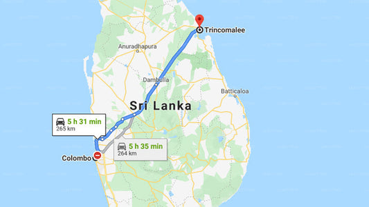 Colombo City to Trincomalee City Private Transfer