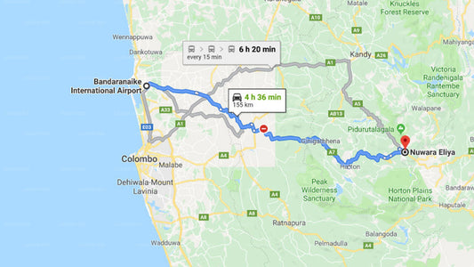 Transfer between Colombo Airport (CMB) and King Fern Cottage, Nuwara Eliya