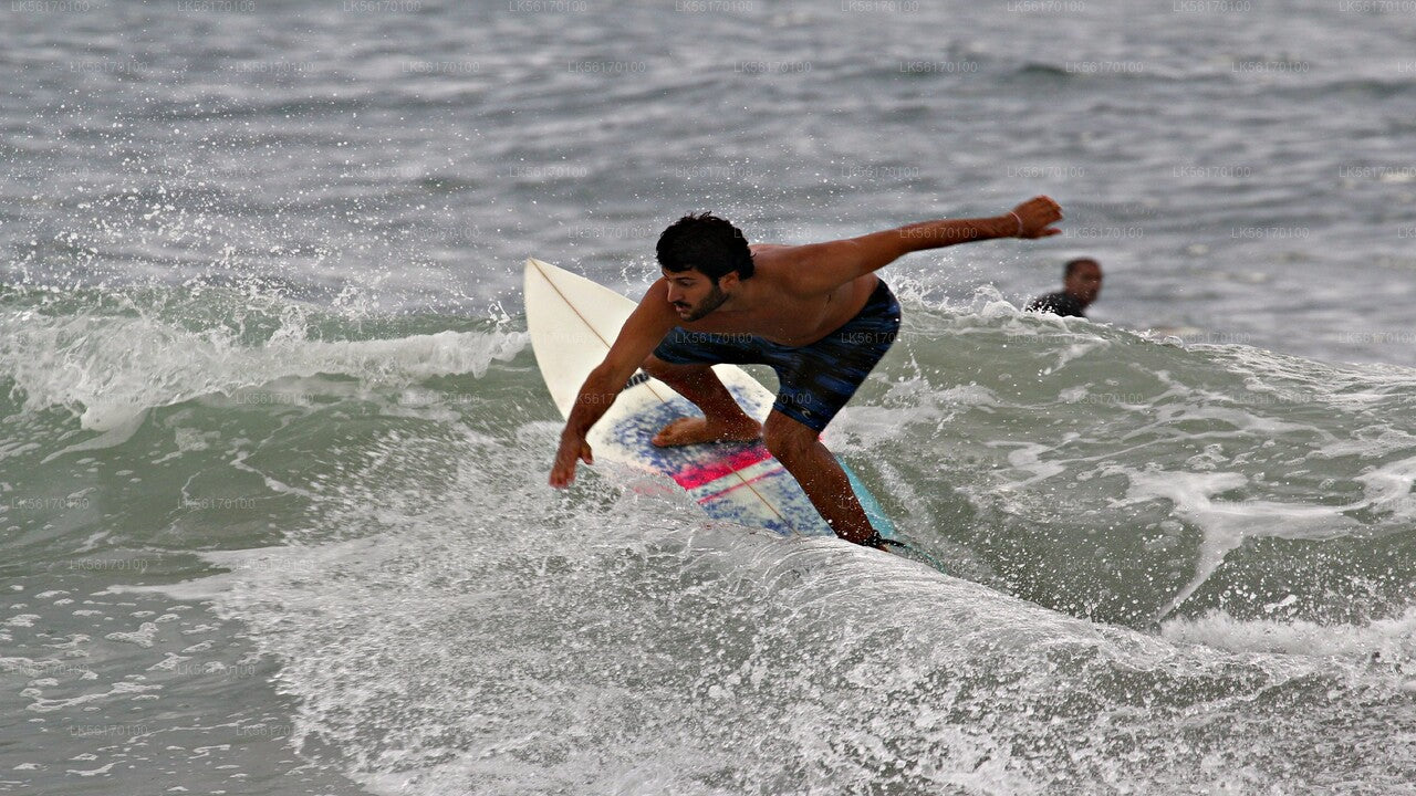 Surfing from Arugam Bay