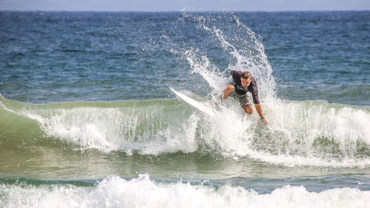 Surfing from Weligama