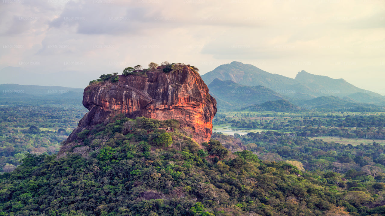 Sigiriya Rock and Wild Elephant Safari from Polonnaruwa