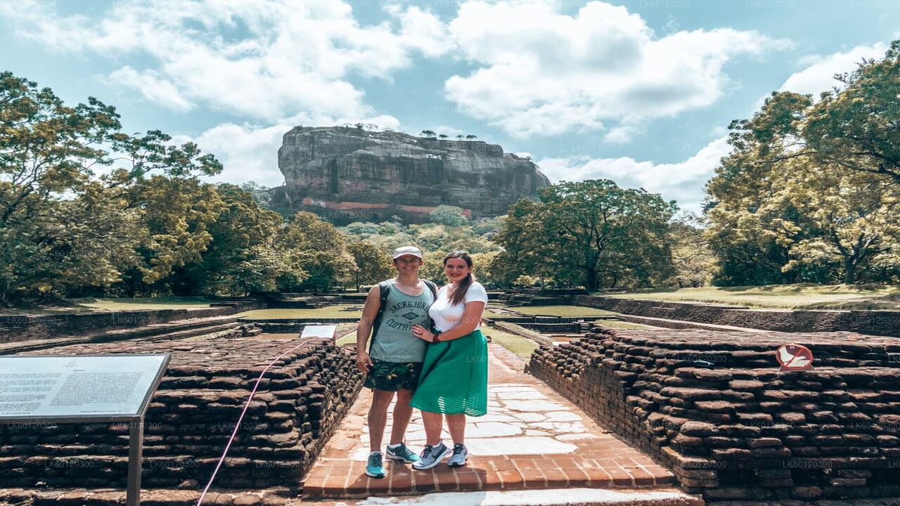 Sigiriya Rock and Wild Elephant Safari from Polonnaruwa