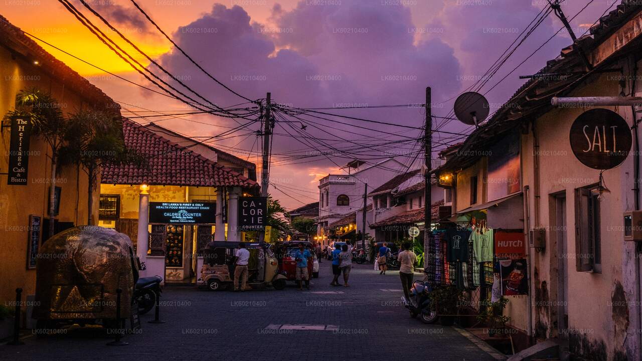 Southern Coast Highlights from Tangalle