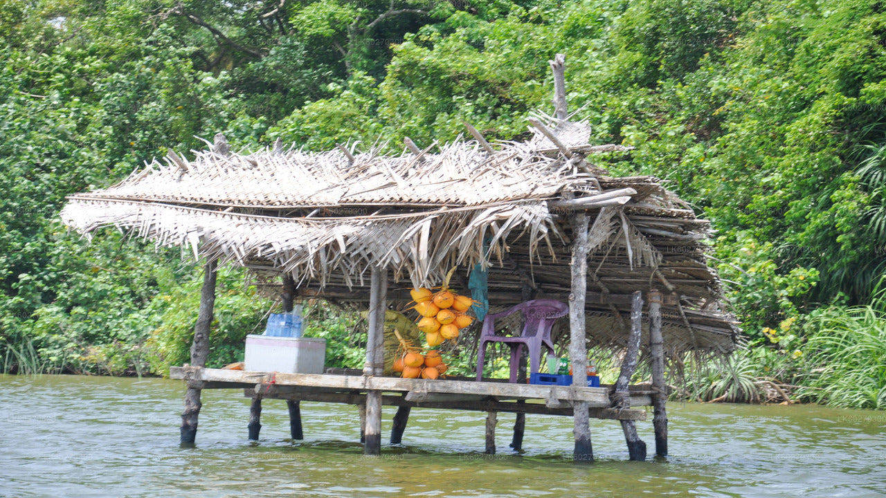 Bentota City Tour from Dikwella