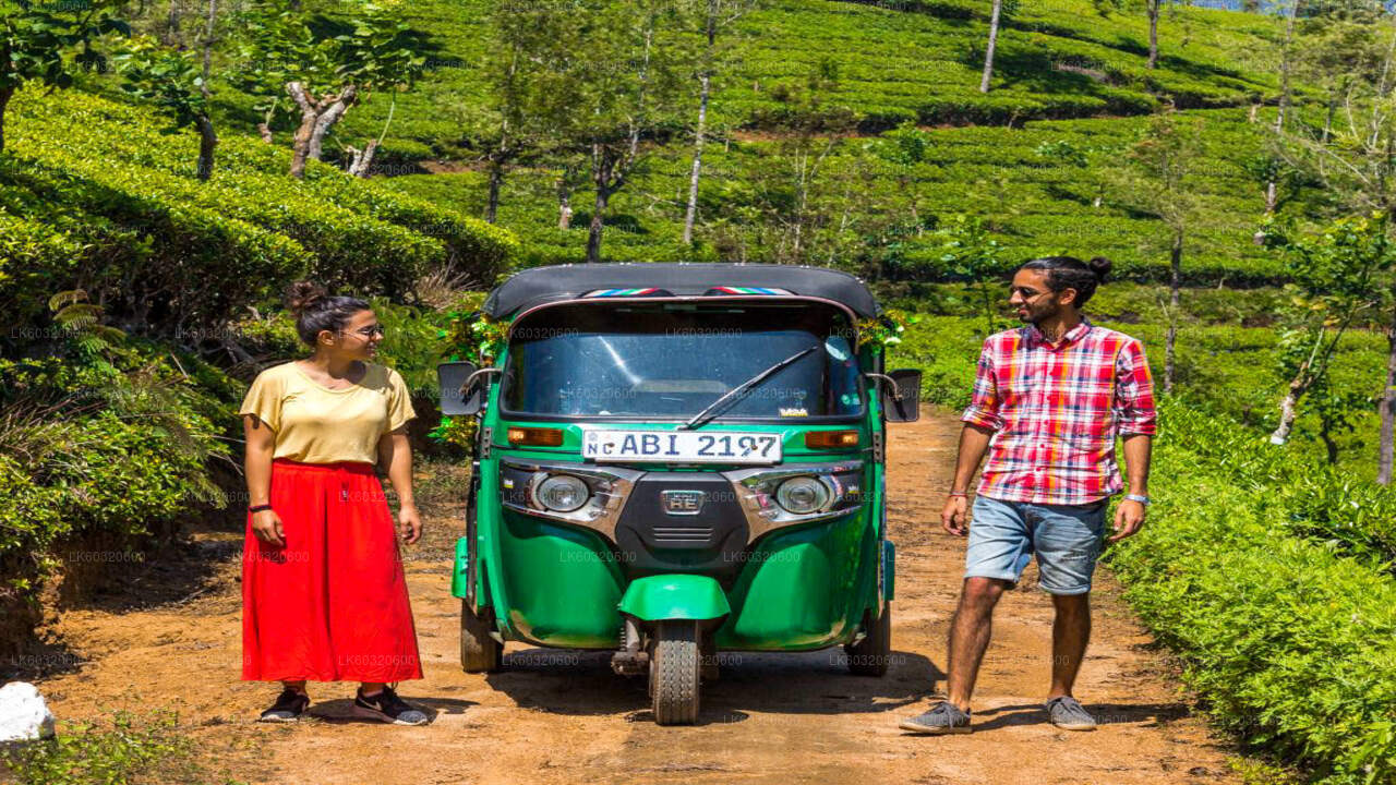 Village Tour by Tuk Tuk from Habarana