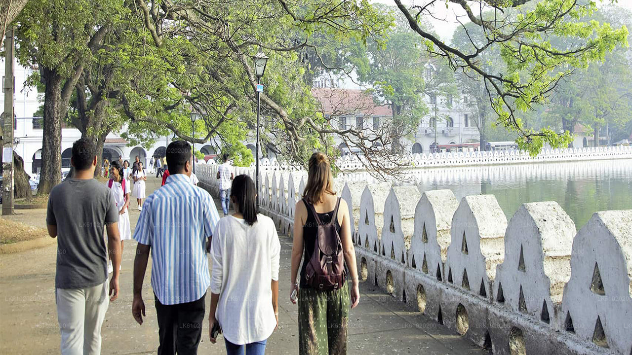 Kandy City Walk with a Local