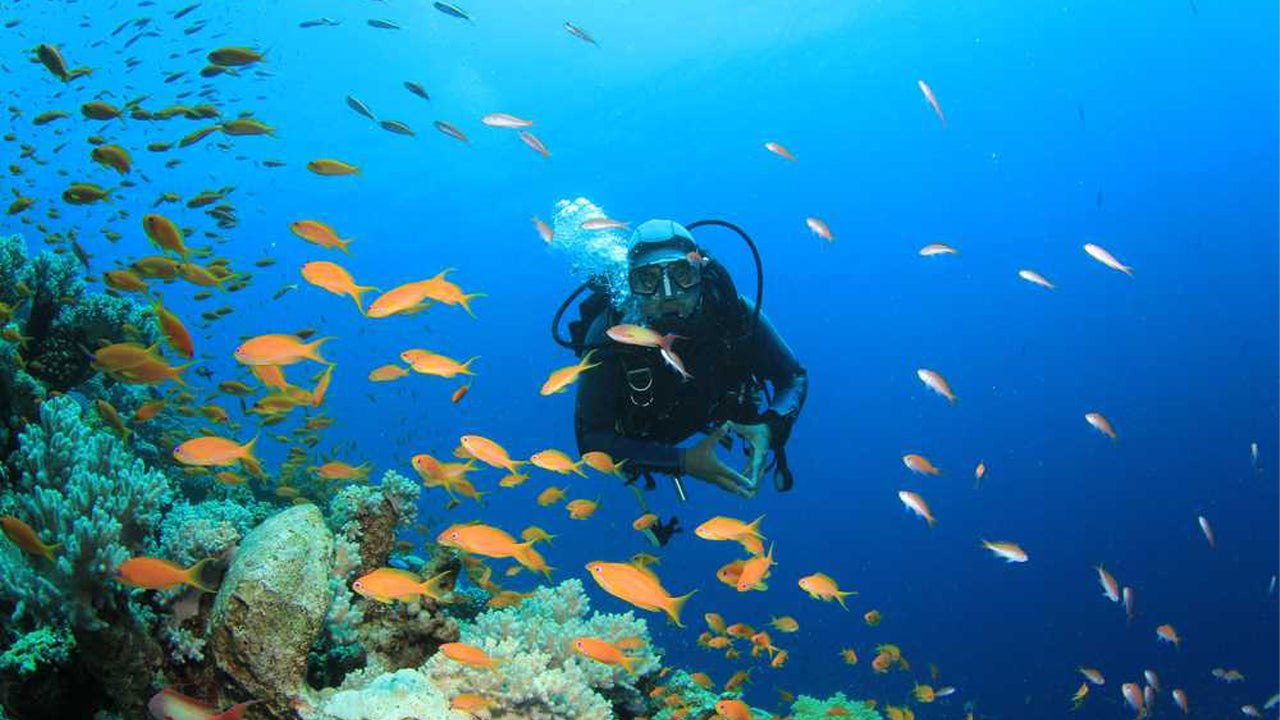 Scuba Diving from Kalpitiya