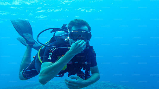 Diving from Mount Lavinia - 6 dive Package