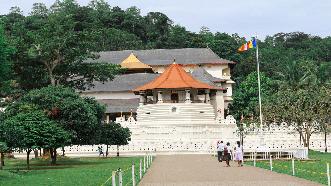 Temple of The Sacred Tooth Relic Entrance Ticket