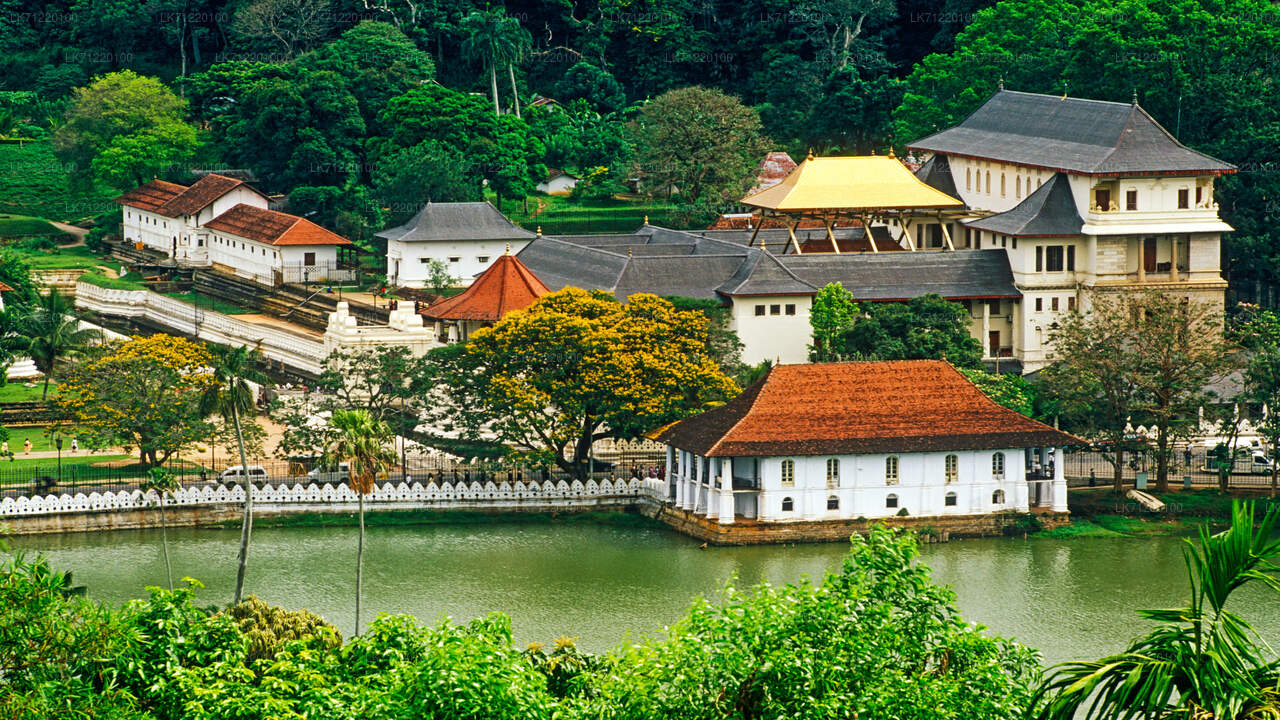 Temple of The Sacred Tooth Relic Entrance Ticket