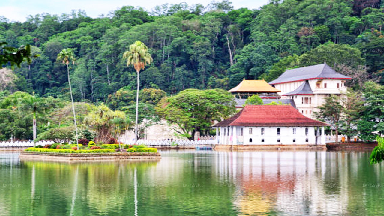 Temple of The Sacred Tooth Relic Entrance Ticket