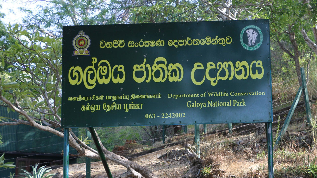 Gal Oya National Park Entrance Tickets