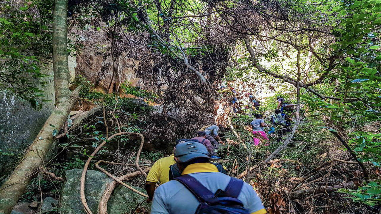 Hike to Danigala Circular Rock from Aaralaganwila