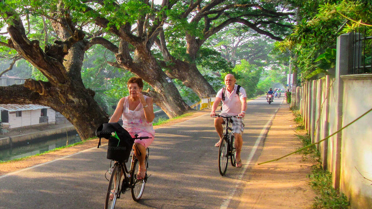 Fishing Village by Bicycle from Negombo