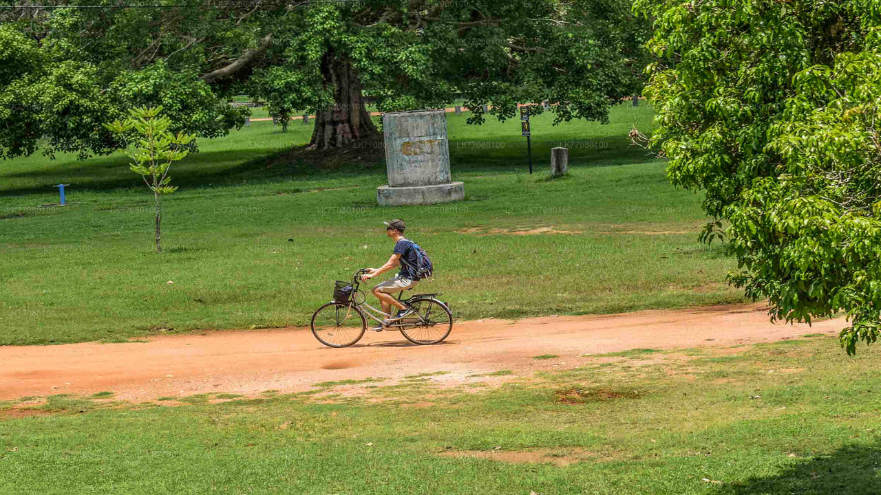 Cycling from Mirissa