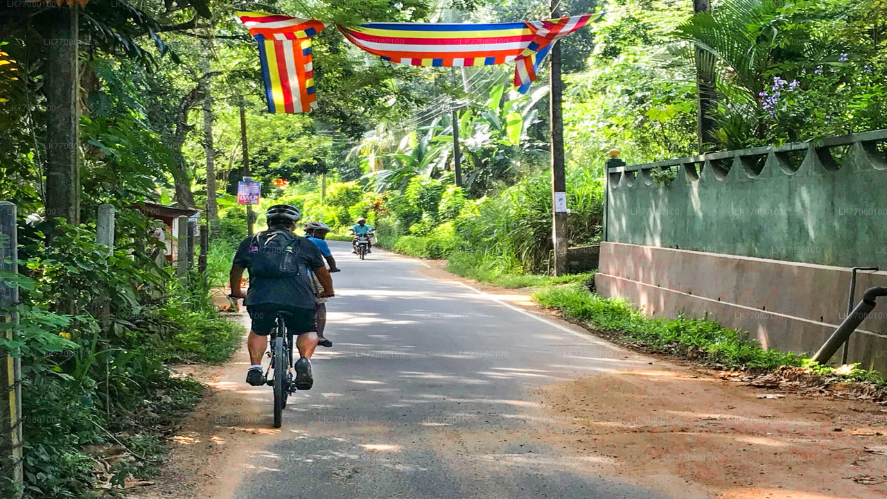 Cycling from Mirissa